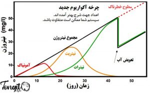 نمودار چرخه نیتروژن در آکواریوم جدید