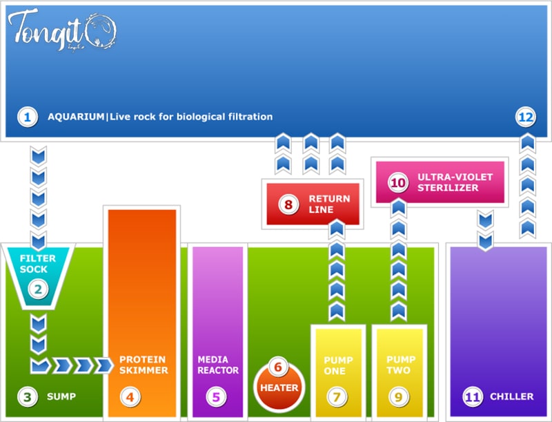 عملکرد فیلتر سامپ