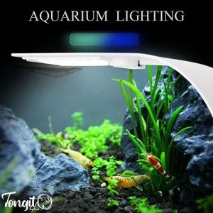 Aquarium lighting - تنگیتو